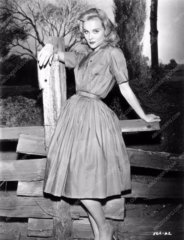 beautiful Diane McBain portrait 8b20-14677