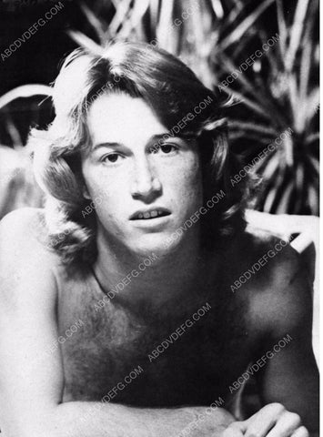 shirtless Andy Gibb pic 8b20-14743