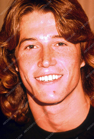 Andy Gibb portrait 8b20-14745