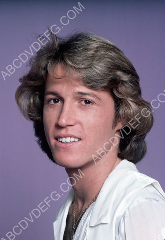 singer Andy Gibb portrait 8b20-14747