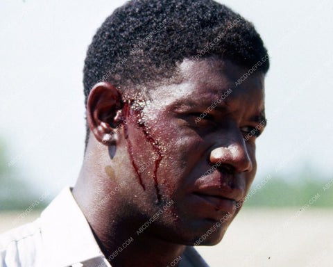 Dennis Haysbert film Love Field 8b20-14876