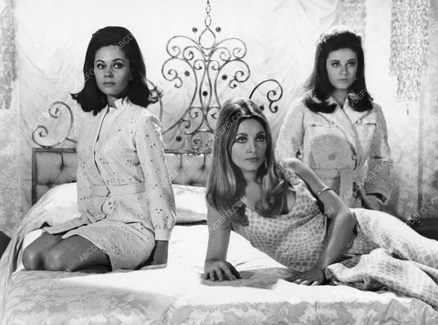 Barbara Parkins Sharon Tate cult film Valley of the Dolls 8b20-1491