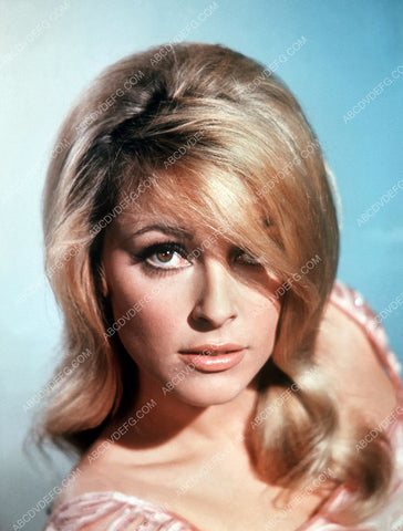 Sharon Tate beautiful portrait 8b20-1496