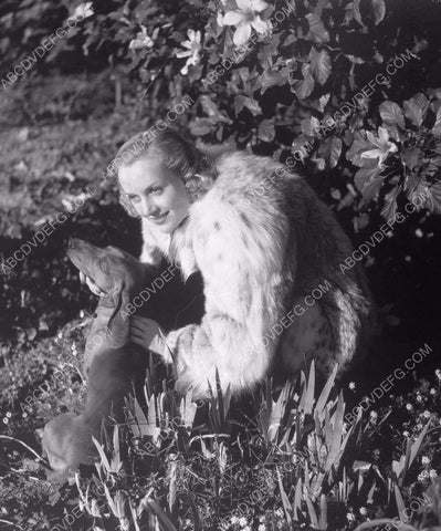 Carole Lombard in the garden w her dachshund dog 8b20-16815