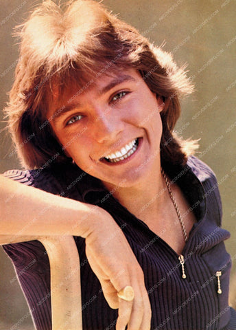 teen idol David Cassidy portrait 8b20-16841