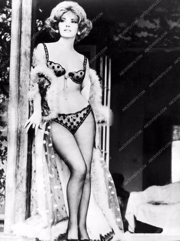 shapely Gina Lollobrigida in sexy lingerie 8b20-16941