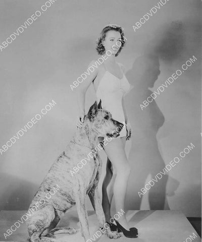Carole Landis and a great dane dog 8b20-17101