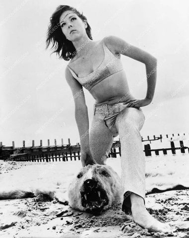 Diana Rigg w a bear skin rug on the beach 8b20-17521
