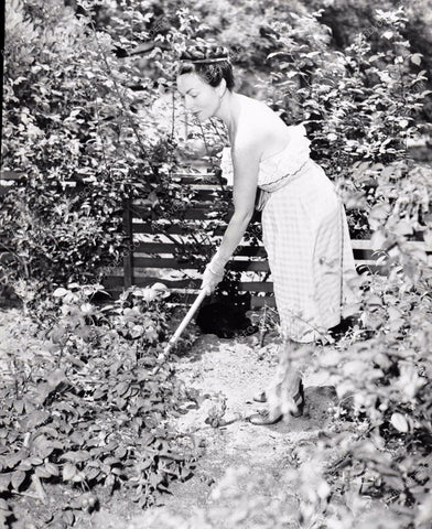 Agnes Moorehead tending garden in her back yard 8b20-1780