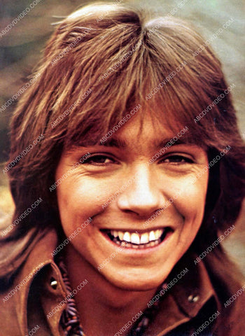 smiling David Cassidy portrait 8b20-17891