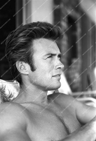 handsome Clint Eastwood in the backyard 8b20-17969