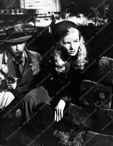 Alan Ladd Veronica Lake film This Gun for Hire 8b20-1833