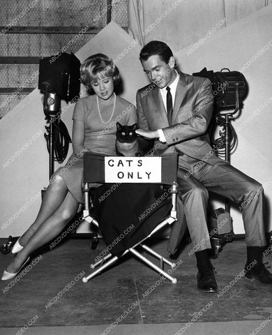 Hayley Mills Dean Jones and a cat on set film That Darn Cat 8b20-18464