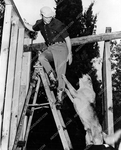 dog Bullett helps Roy Rogers with some construction 8b20-18977