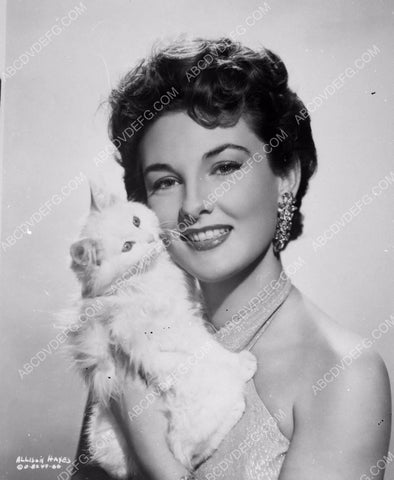 beautiful Allison Hayes poses with her kitty cat 8b20-1960