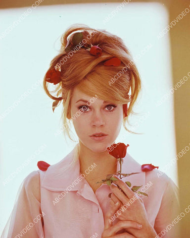 Jane Fonda poses w some roses 8b20-20156