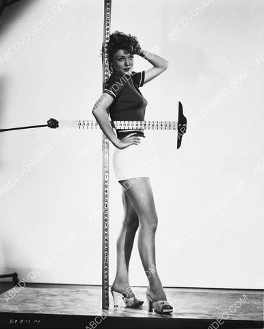 sexy pinup Joan Vohs has t-square and measuring stick for precise measurements 8b20-20374