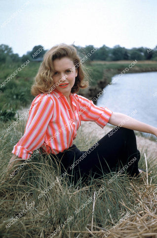 Lee Remick relaxing in the grass 8b20-20541