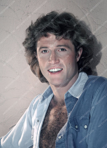 Andy Gibb portrait 8b20-2060