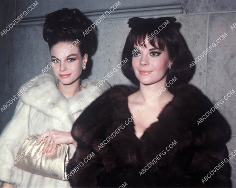 Lana Wood and Natalie Wood 8b20-20633