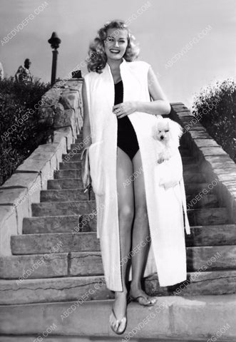 beautiful Anita Ekberg puts her dog in her pocket heads for the pool 8b20-2209