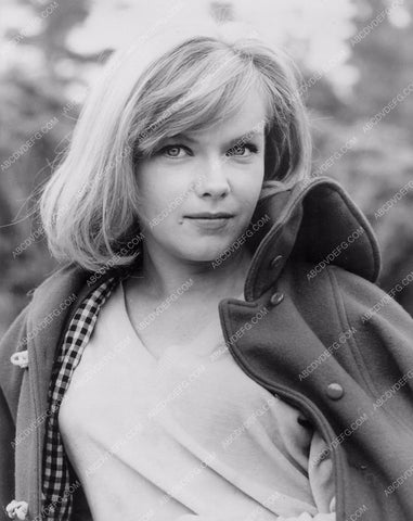 Beautiful Anne Francis portrait 8b20-2494