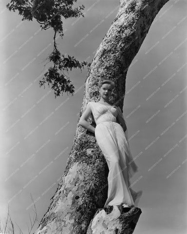 sexy Anne Francis alluring in a tree 8b20-2507