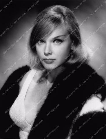 beautiful Anne Francis portrait 8b20-2525