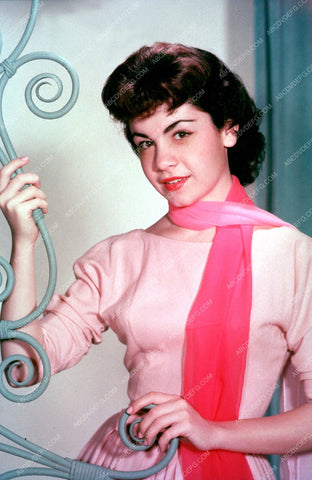 beautiful Annette Funicello portrait 8b20-2947