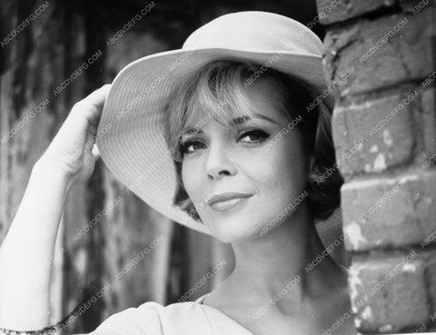 beautiful Barbara Bain in summer hat 8b20-3194