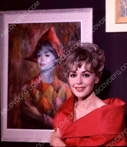 beautiful Barbara Rush portrait 8b20-3428