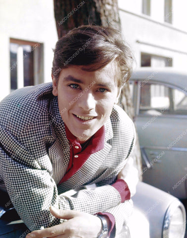 handsome Alain Delon outdoors portrait 8b20-3635