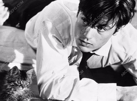 Alain Delon and a very alert kitty cat 8b20-3649
