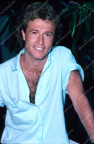 Andy Gibb portrait 8b20-3816