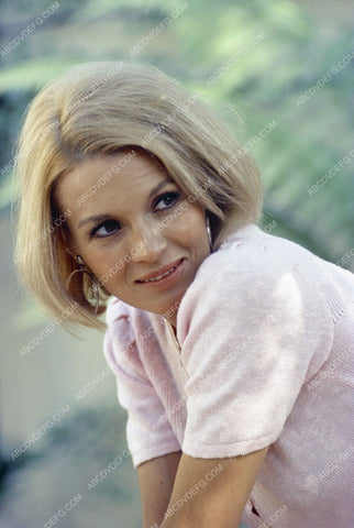 beautiful Angie Dickinson portrait 8b20-3844