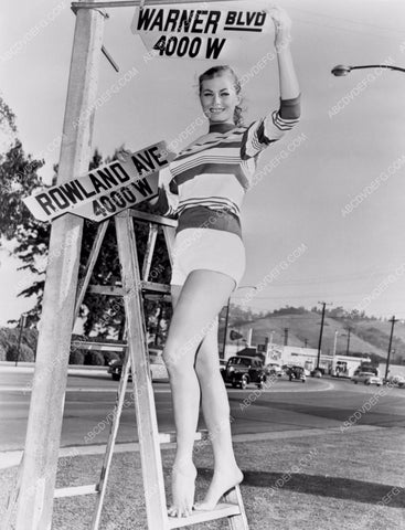 Anita Ekberg does some city engineering in Burbank Cal. 8b20-3994