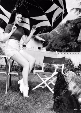 Ann Miller playing with her dogs in the backyard dp-4114