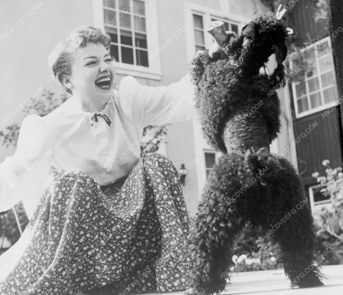candid Anne Baxter plays with her poodle dog 8b20-4178