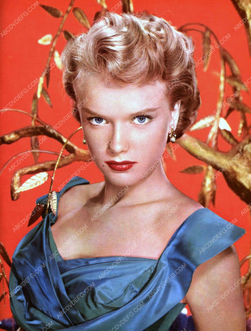 beautiful Anne Francis portrait 8b20-4196