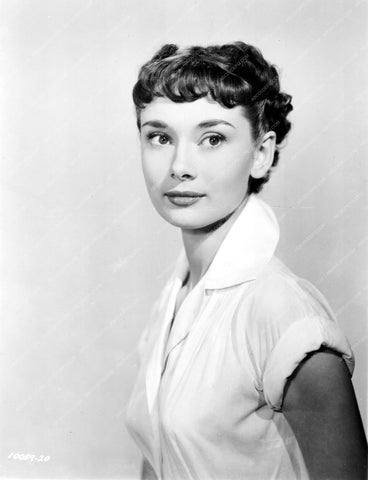 beautiful Audrey Hepburn portrait 8b20-4538