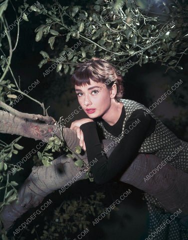 beautiful Audrey Hepburn portrait 8b20-4542