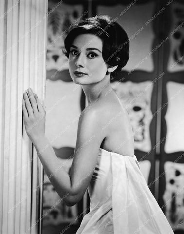 beautiful Audrey Hepburn portrait 8b20-4555