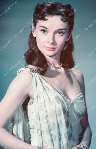 beautiful Audrey Hepburn portrait 8b20-4565