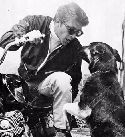 Bill Bixby sitting on his motorcycle playing w his dog 8b20-4886