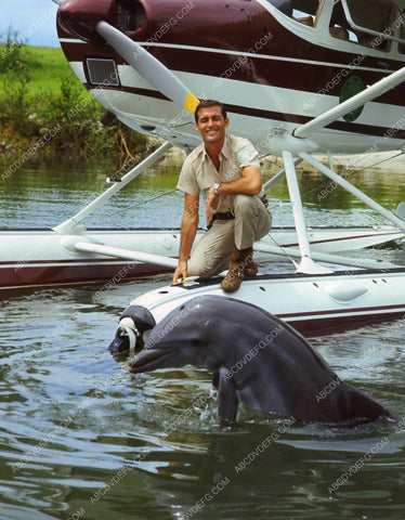 Brian Kelly and his dolphin pal TV Flipper 8b20-5174