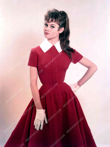 beautiful Brigitte Bardot portrait 8b20-5408