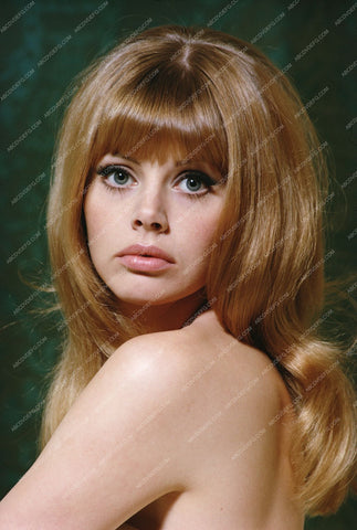 beautiful Britt Ekland portrait 8b20-5417