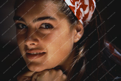 beautiful Brooke Shields portrait 8b20-5479
