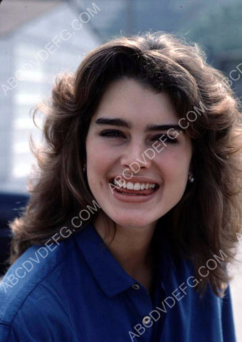 Brooke Shields portrait 8b20-5492