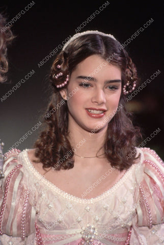 Brooke Shields portrait 8b20-5500